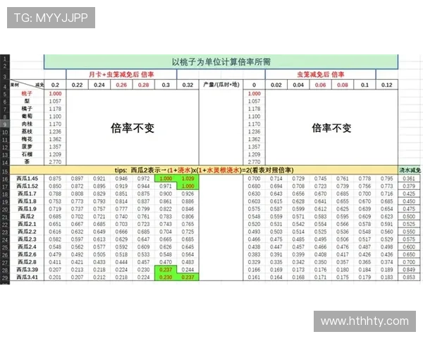 探索华体会hth平台的多样化体育赛事投注选项